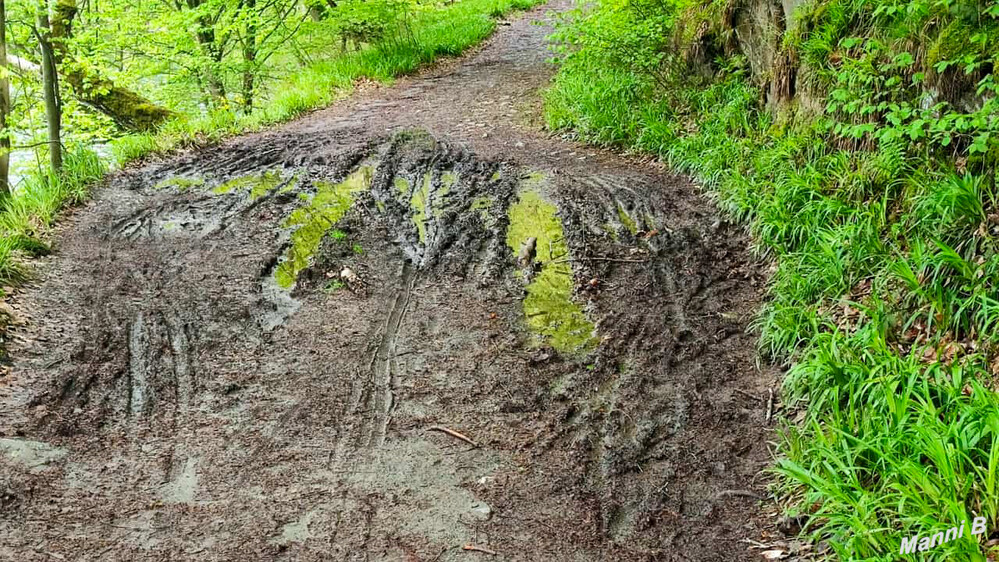 Mittendurch
und Augen zu
Schlüsselwörter: Eifel