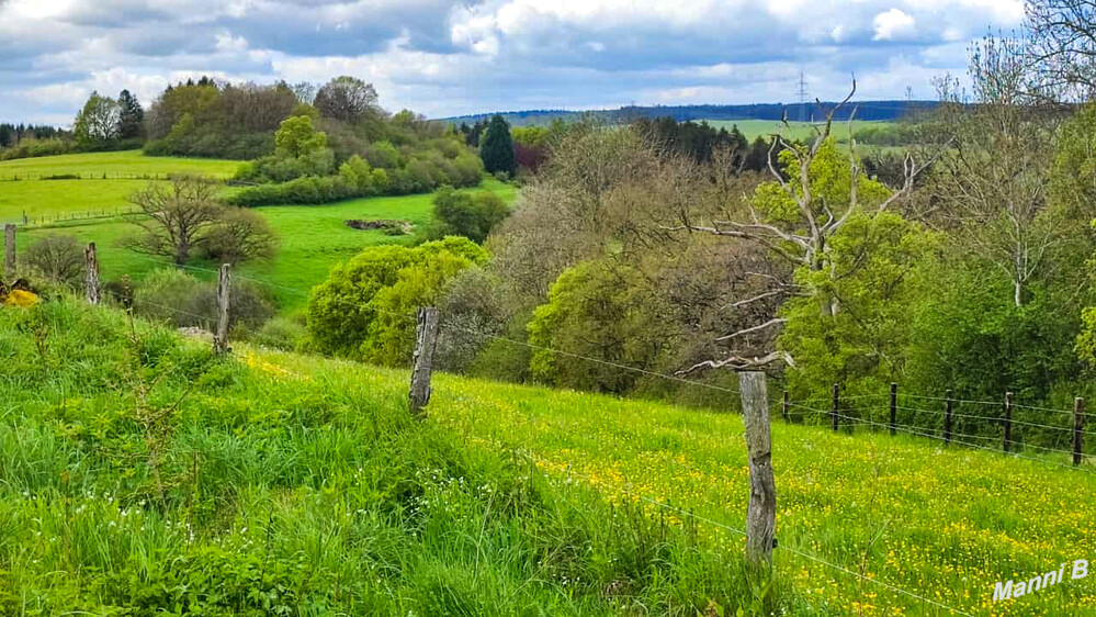 Erlebniswanderung
rund um Nettersheim
Schlüsselwörter: Eifel