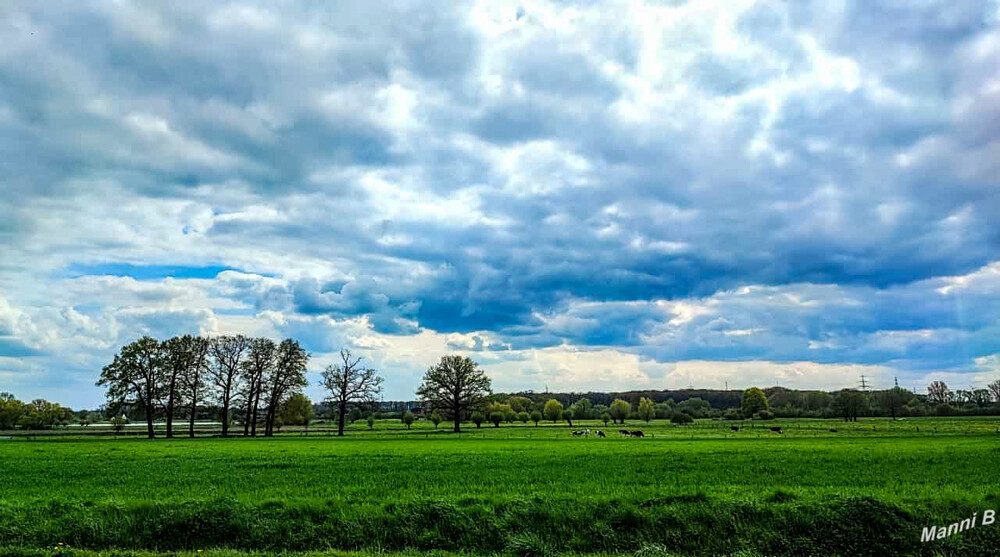 Aussicht
Schlüsselwörter: 2023