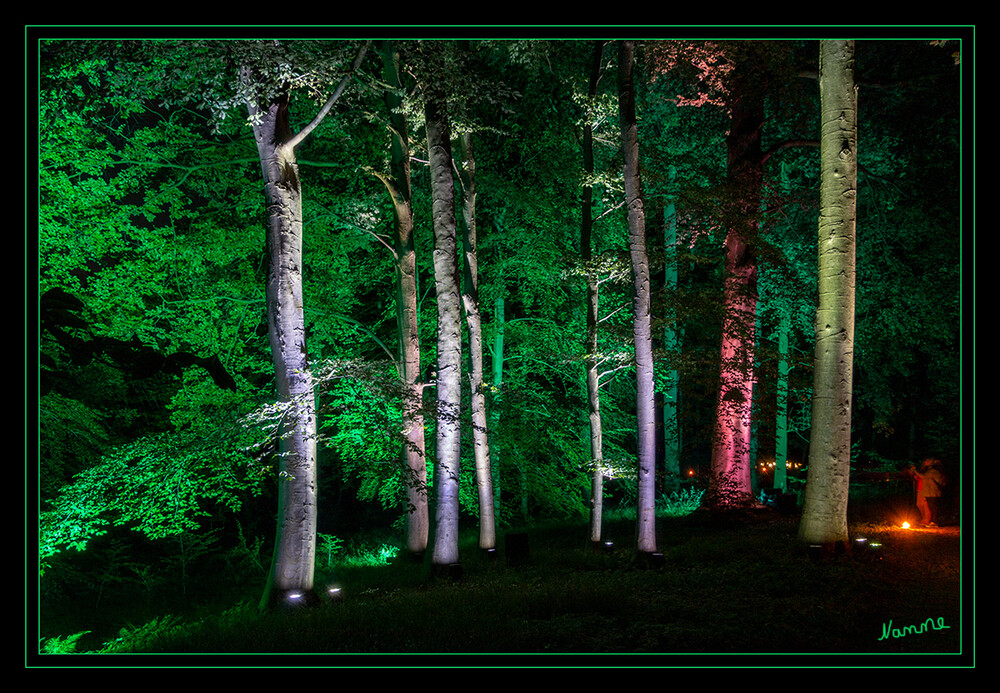 Lichtfestival
Schloß Dyck - illuminierte Bäume
Schlüsselwörter: Schloß Dyck