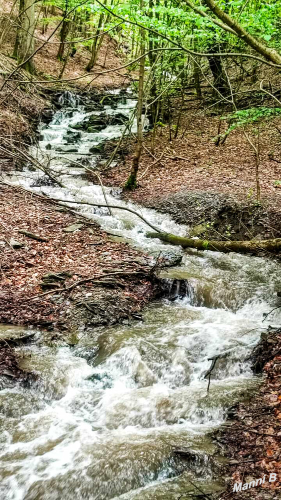 Genug Wasser
Schlüsselwörter: Eifel