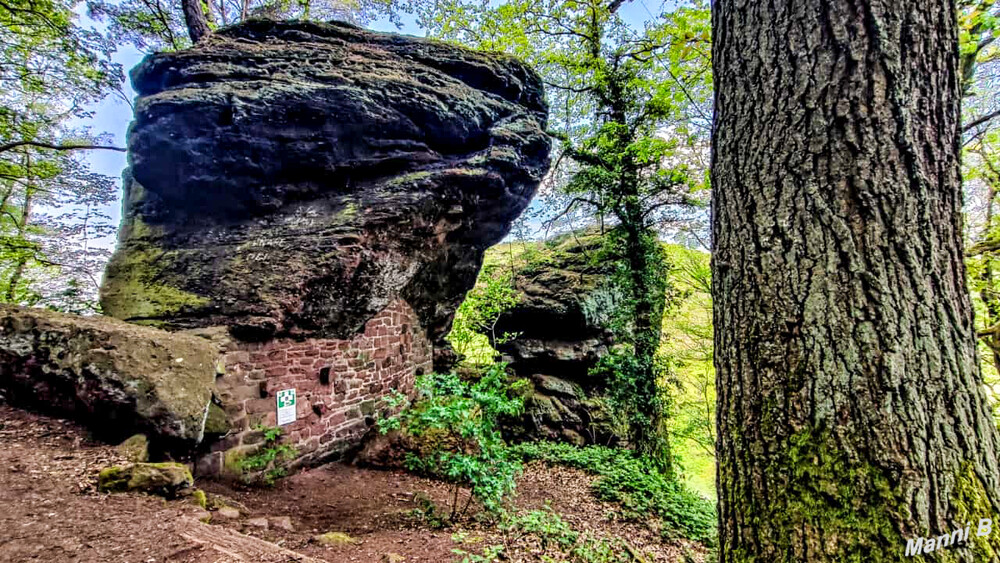 Felsformation
Zwei Brüder
Schlüsselwörter: Eifel