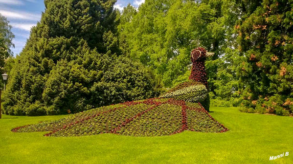 Insel Mainau
