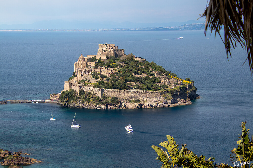 Blick auf das Castello Aragonese
Schlüsselwörter: Italien; Ischia