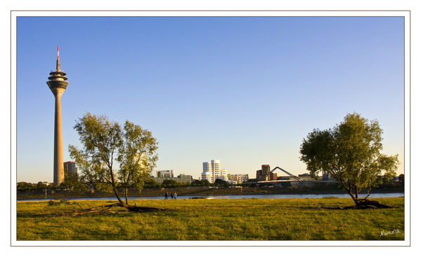 Blick übers Wasser
Schlüsselwörter: Fernsehturm              Düsseldorf            Medienhafen       