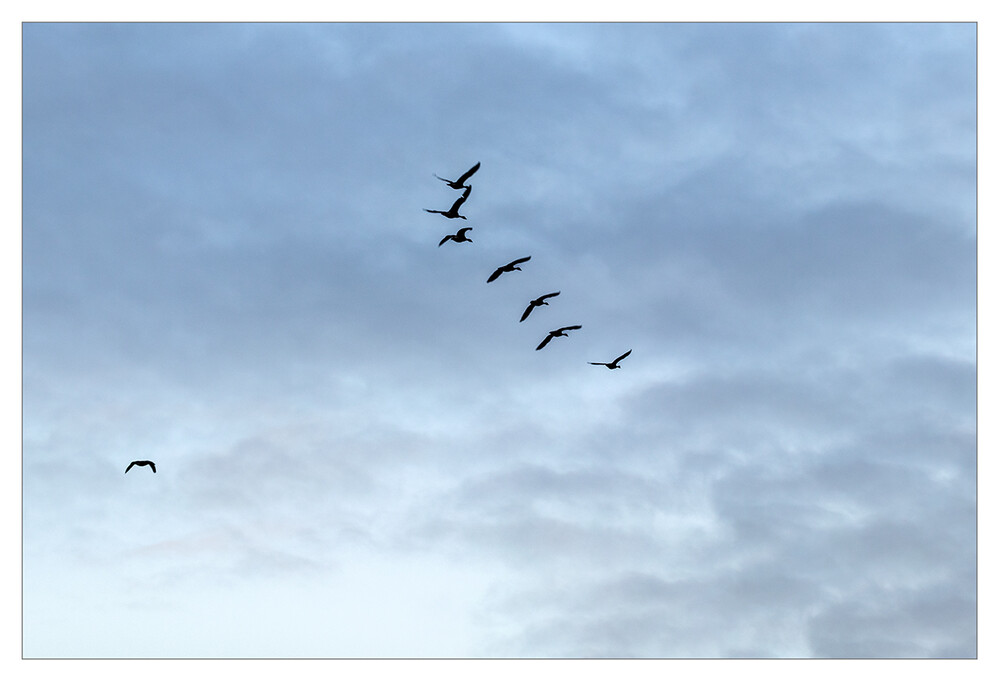 Februarfoto "Abflug"
Marianne
Schlüsselwörter: 2022