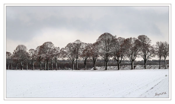 Winterintermezzo
Schlüsselwörter: Winter, Schnee