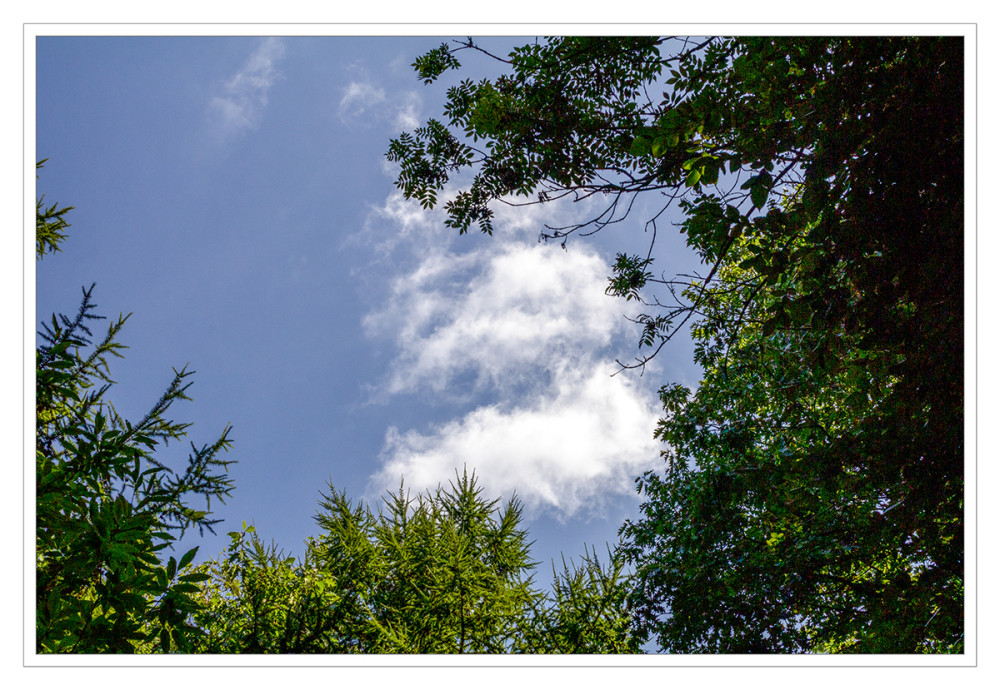 Am Himmel "Wolkenfetzen"
Marianne
Schlüsselwörter: 2025