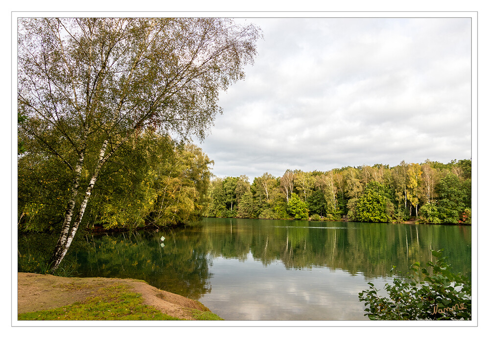 Blick auf den Venekotensee
Der Venekotensee ist ein durch eine ursprüngliche Kiesgrube künstlich entstandener See am niederrheinischen Fluss Schwalm. Er liegt unweit von Brüggen im Naturpark Maas-Schwalm-Nette, rund 25 km westlich der Stadt Mönchengladbach in Nordrhein-Westfalen und hat eine Fläche von ca. 11,5 Hektar. laut Wikipedia
Schlüsselwörter: Venekoten