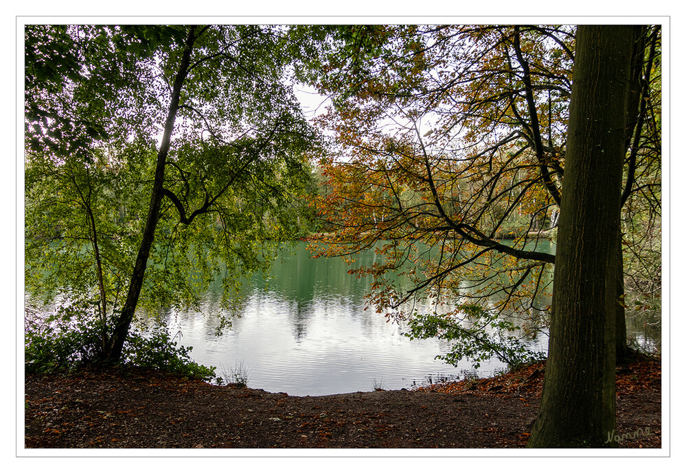 Durchblick zum Venekotensee
Der See erstreckt sich parallel zur Schwalm an deren linkem Ufer, nur durch einen etwa 20 m breiten Damm mit teilweise befestigtem Wanderweg vom Fluss getrennt. laut Wikipedia
Schlüsselwörter: Venekoten