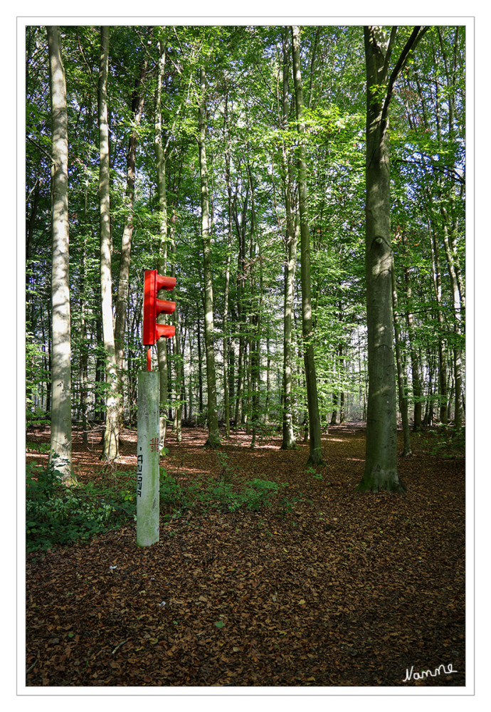 Ampel im Wald
für mich sinnbefreit.
Schlüsselwörter: 2026