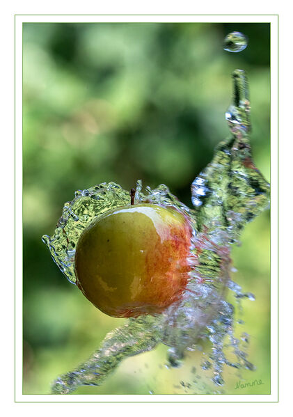 Geduscht
Wasserspiele unter freiem Himmel
Schlüsselwörter: Apfel; Wasser