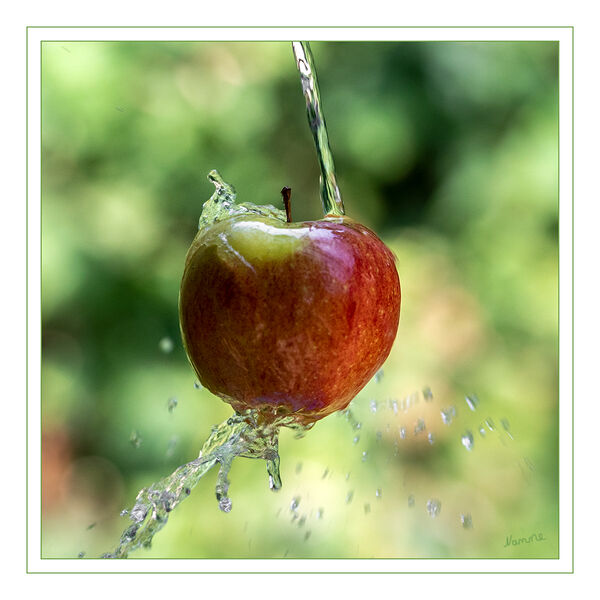 34 - Badefreude
Schlüsselwörter: Apfel