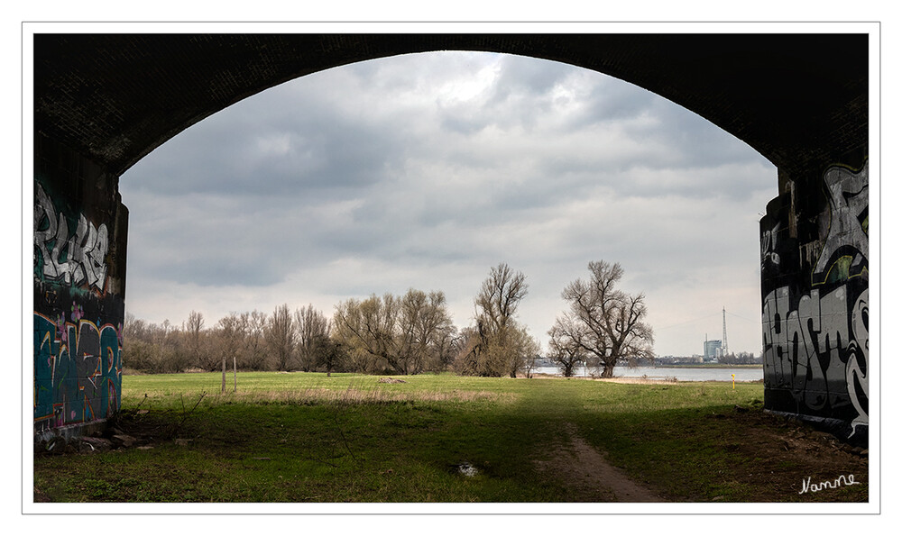 12 - Ausblick auf den Frühling
2021
Schlüsselwörter: Am Rhein;