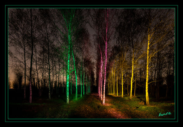 Bunt
Schlüsselwörter: Lichtmalerei , Light Painting, 2019