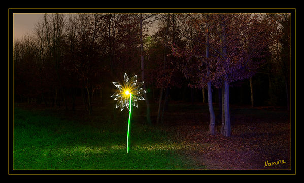 Einsam
Schlüsselwörter: Lichtmalerei ,    Light Painting