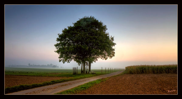 Morgens
bei uns auf dem Dorf
