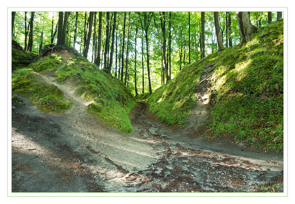 Hohlweg
Schlüsselwörter: Rügen, Binz, Strand