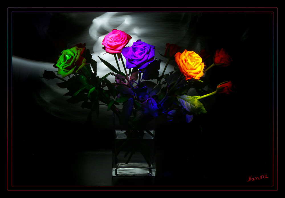 Farbenfroh
Einen Blumenstrauß bunt ausgeleuchtet
Schlüsselwörter: Lichtmalerei; Lightpainting; 2022;