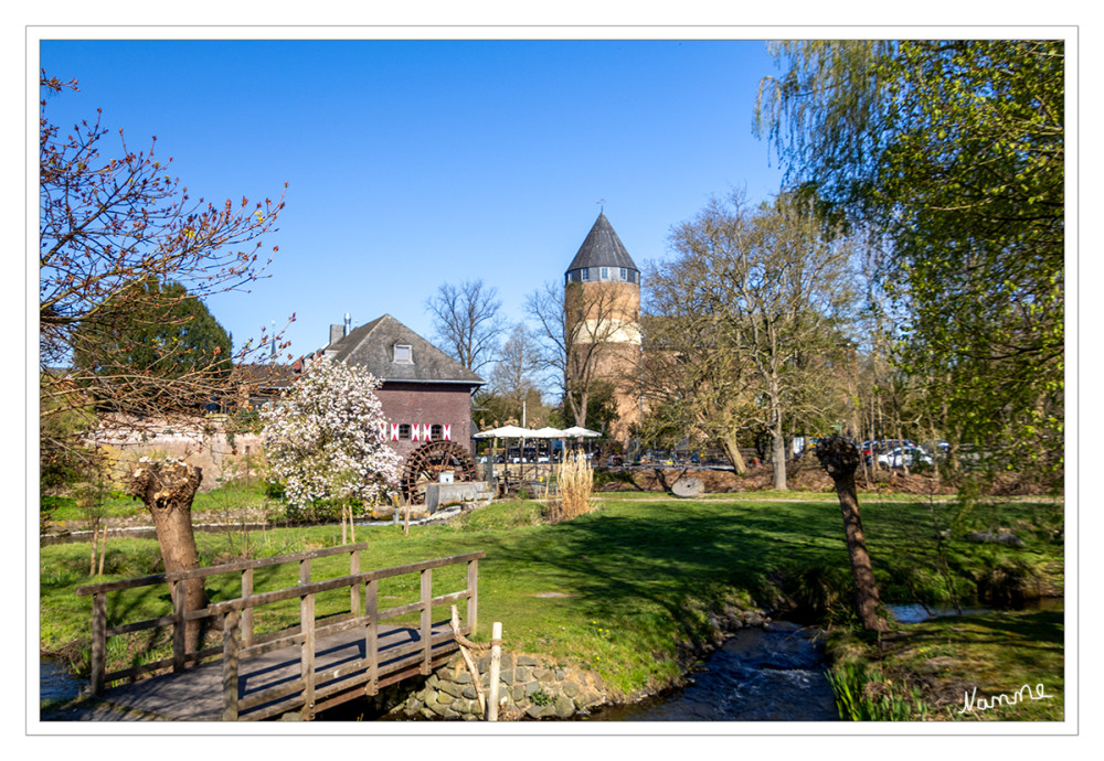 Brüggen
Blick auf die Brüggener Mühle, im Hintergrund die Burg.
Schlüsselwörter: 2025