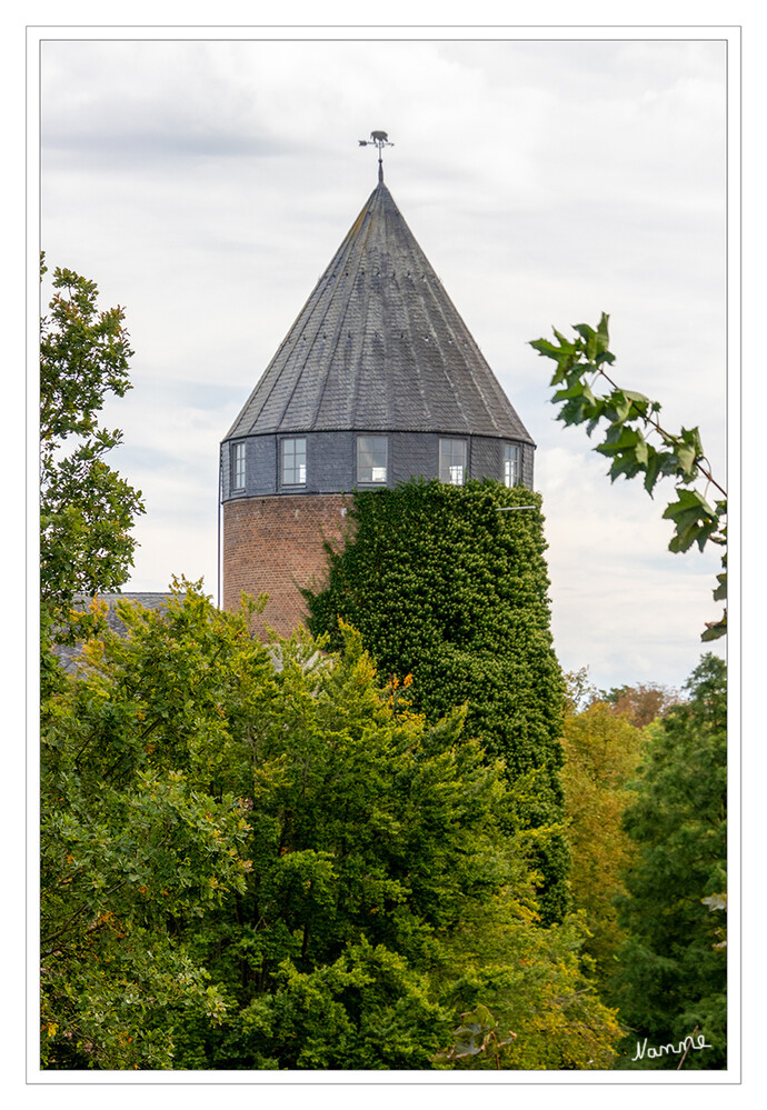 Burg Brüggen
Vollständig erhalten oder wieder aufgebaut sind der südlich gelegene, dreigeschossige Palas und der sich daran anschließende runde Südwest-Turm der Burg sowie der aus Backstein errichtete Torbau der Vorburg. laut Wikipedia
Schlüsselwörter: Brüggen