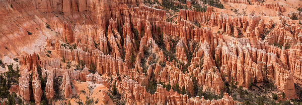 Bryce Canyon NP
Der Bryce Canyon wurde nicht durch einen Fluss gebildet. Er ist damit kein Canyon im eigentlichen Sinne wie zum Beispiel der Grand Canyon. Wind, Wasser und Eis erodierten die Kante des Plateaus zu großen Amphitheatern mit bizarren Felsnadeln, so genannte Hoodoos. Diese Felsnadeln erreichen eine Höhe bis zu 60 Meter. Die so entstandenen Amphitheater erstrecken sich über eine Länge von über 30 km. 
laut Wikipedia
Schlüsselwörter: Amerika Bryce Canyon