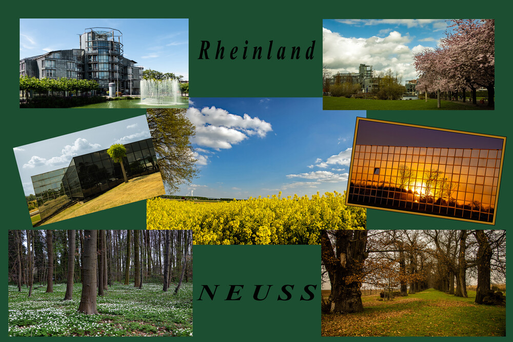 Collage "Rhein-Kreis-Neuss"
Elise
Schlüsselwörter: 2023