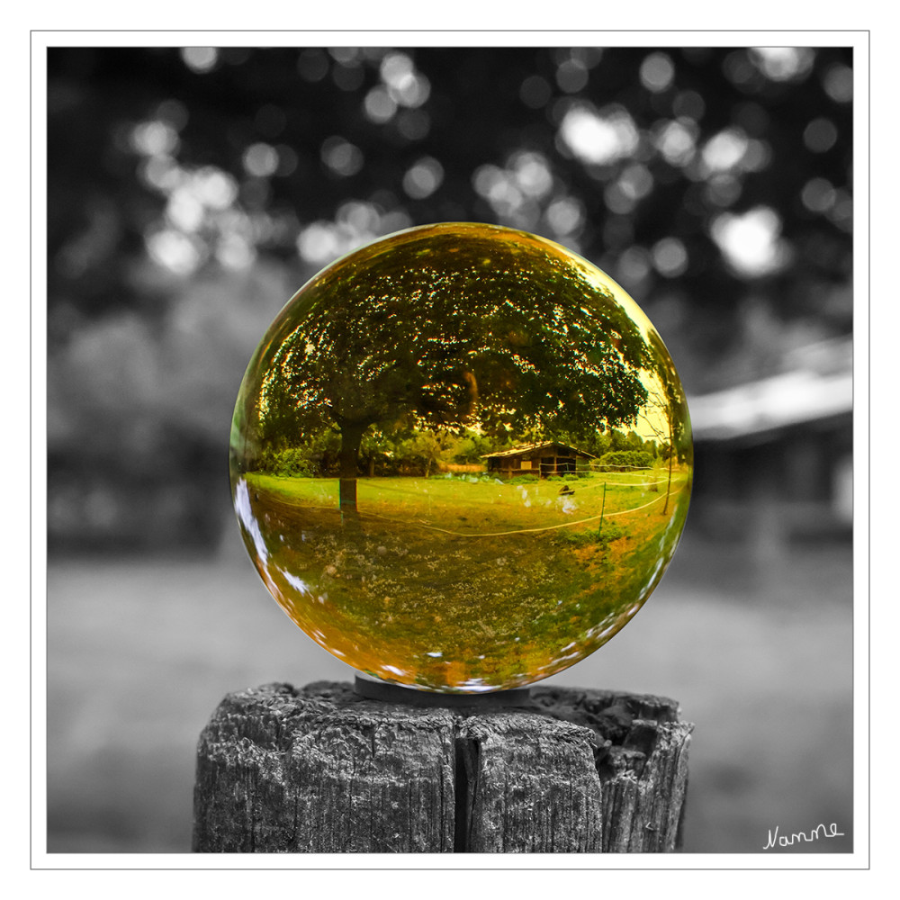 Color Key
Schlüsselwörter: 2026
