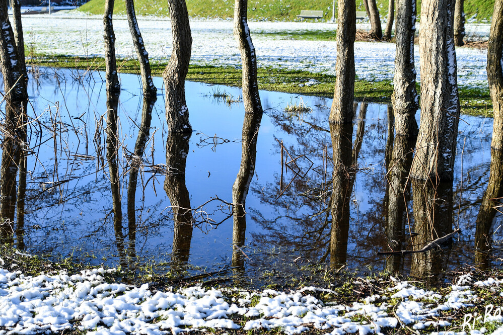 Wintertag
im Seekurgarten in Norddeich. 2010 erhält Norddeich das Prädikat „Staatlich anerkanntes Nordseeheilbad.
Schlüsselwörter: 2024