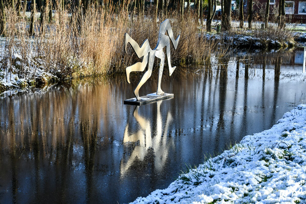 Wasserläufer
im Seekurgarten in Norddeich. 
Schlüsselwörter: 2024