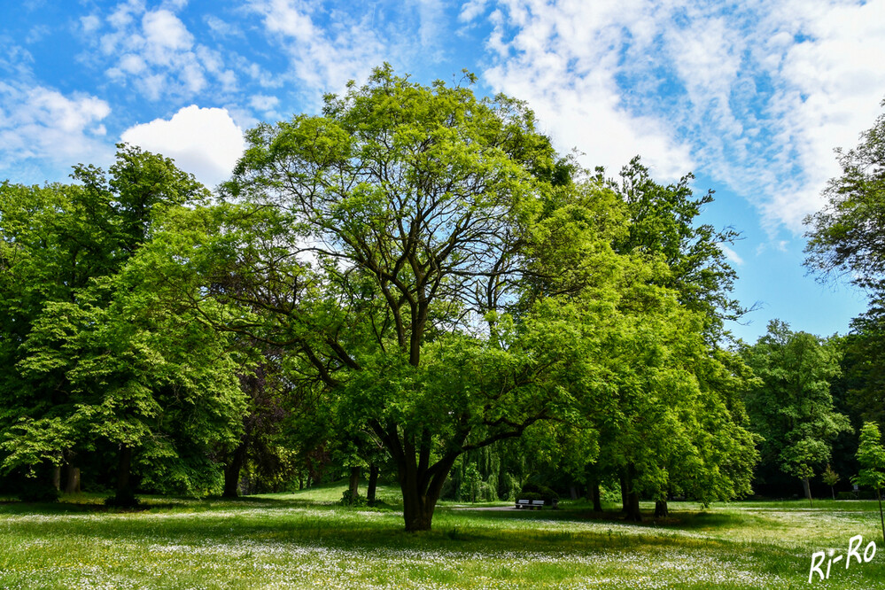Parklandschaft
der Kurpark ist um 1882 als typischer Stadtgarten im Stil der damaligen Zeit entstanden. Im Laufe der Zeit entwickelte sich der Kurpark in Hamm zu einer innerstädtischen Parkanlage mit ruhigen Parkstrukturen u. weiten Wiesenlandschaften. (kurhaus-bad-hamm)
Schlüsselwörter: 2024