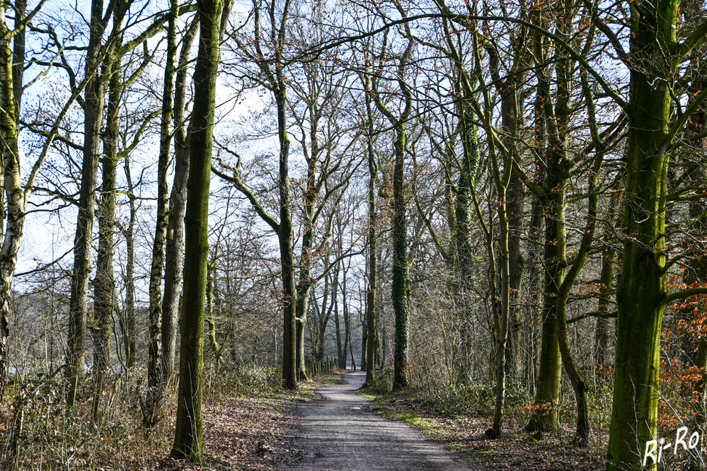 Spaziergang
Die Haard ist ein 5.500 ha großes, in sich geschlossenes Waldgebiet am Rande des Ruhrgebiets u. gehört zum Naturpark Hohe Mark. (ruhr-guide.de)
