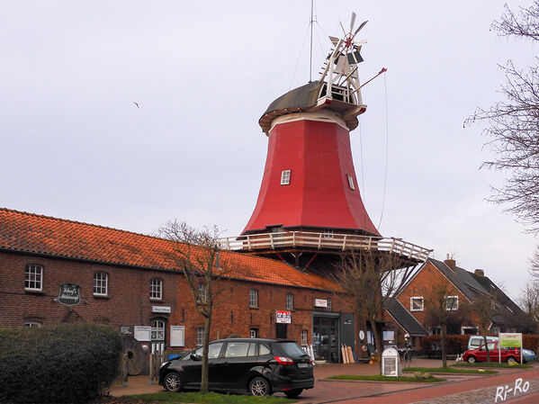 Mühle in Greetsiel
Die östliche Mühle (Schoof’s Mühle) wurde im Jahr 1921 erbaut. Die Mühle hatte Vorgänger, die entweder durch Stürme oder Brände zerstört wurden. Die rote Zwillingsmühle in Greetsiel hat seit Juni 2017 keine Flügel mehr. (lt. mühle-schoofs/Ostfriesenzeitung) 
Schlüsselwörter: Nordsee;