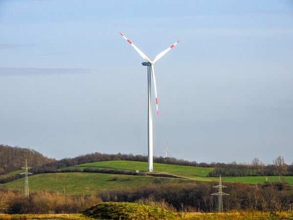 Auf der Halde
Das Windrad nutzt den Wind, um elektrischen Strom zu erzeugen. Meistens haben sie drei, manchmal auch nur zwei Rotorblätter. (lt. klexikon.de)


Schlüsselwörter: Windräder