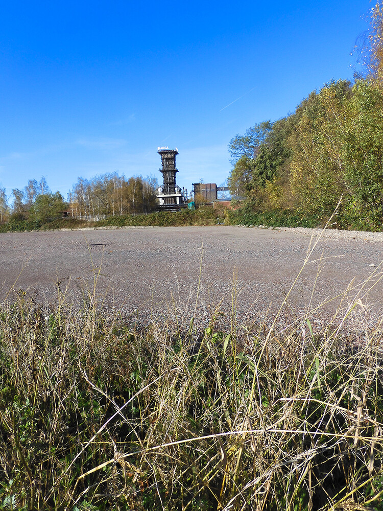 Weitwinkel „Renaturierte Fläche u. Kokerei Hansa“
Perla
Schlüsselwörter: 2021