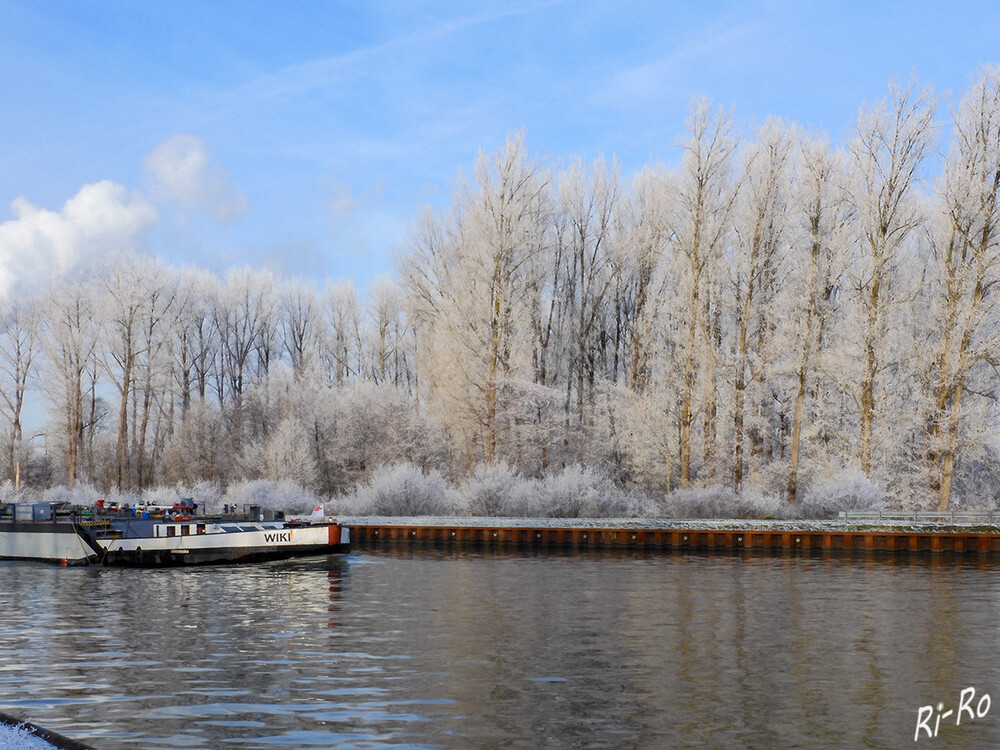 Vereister Nebel am Kanal
