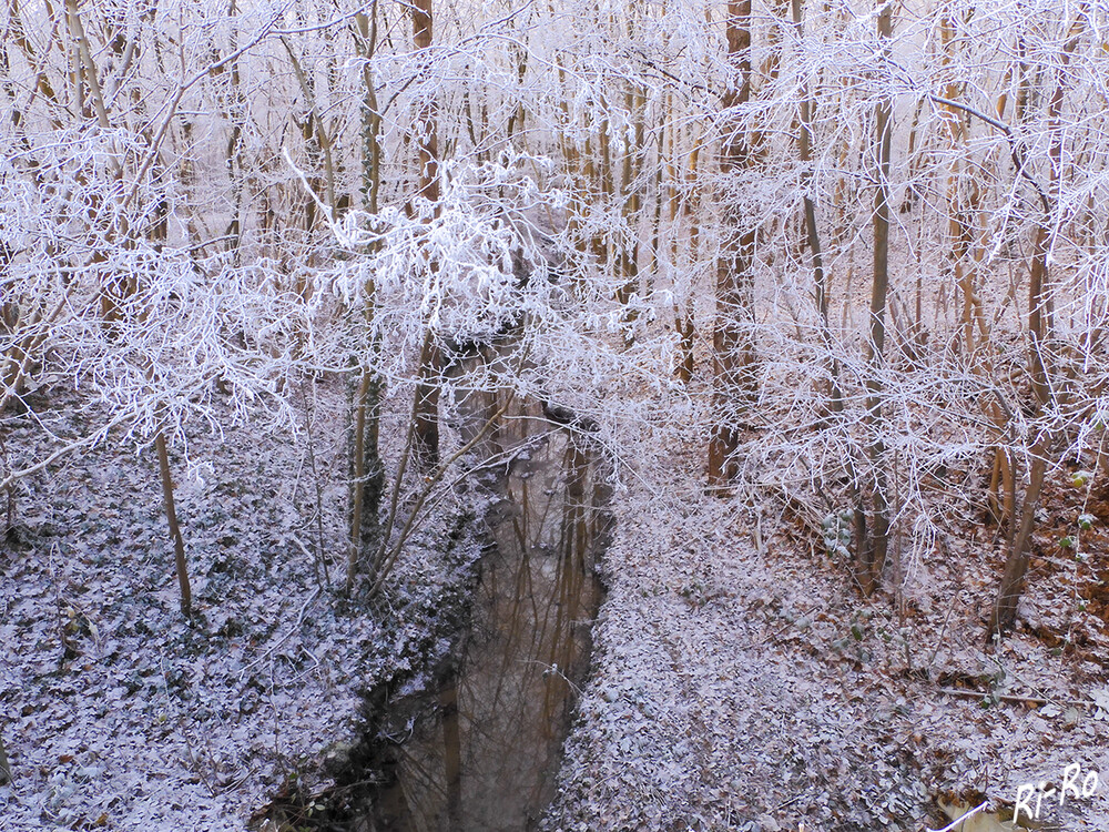 Wintertag im Wald
Schlüsselwörter: 2021