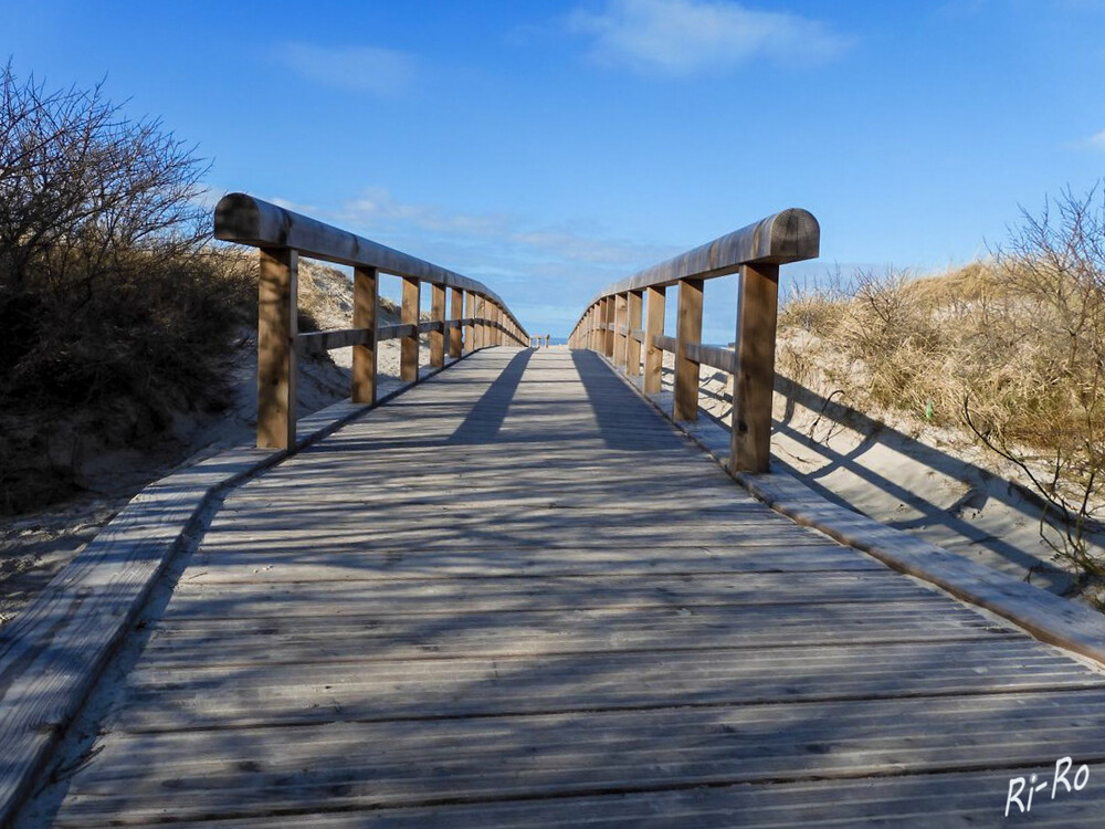 Weg durch die Dünen
Neu entstanden ist das Naturerlebnis Dünenlandschaft in Norddeich:
Schlüsselwörter: Nordsee