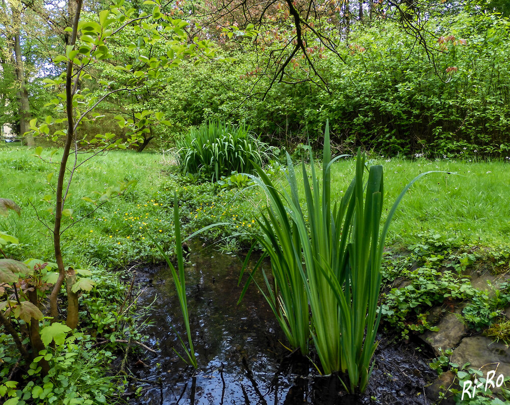 Kleiner Bachlauf
dieser schafft eine natürliche Atmosphäre in Gärten u. Parks. Zudem ist er eine mögliche Ergänzung oder Alternative zum Teich. (obi)
