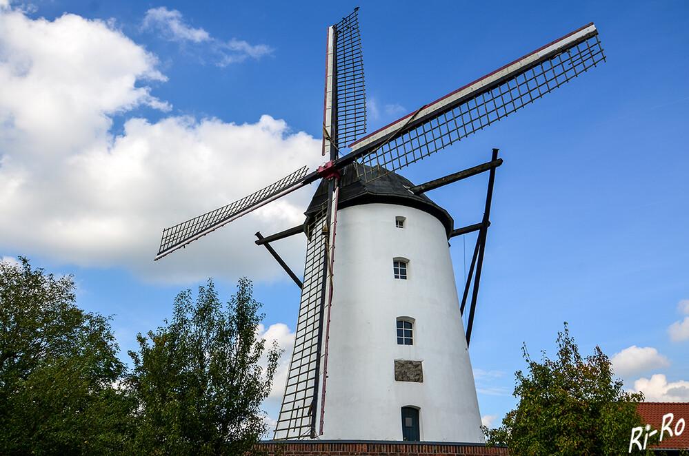 Seitenansicht
Die Braunsmühle (ursprünglich „Dycker Mühle“) in Büttgen ist eine Windmühle aus Stein, die in der heutigen Form seit 1756 besteht. Die Mühle wurde nach dem langsamen Verfall seit den 1970er Jahren von 2002 bis 2005 komplett restauriert u. hat heute auch wieder ein funktionsfähiges Windrad mit Mahlwerk. (nrw-live.de)
