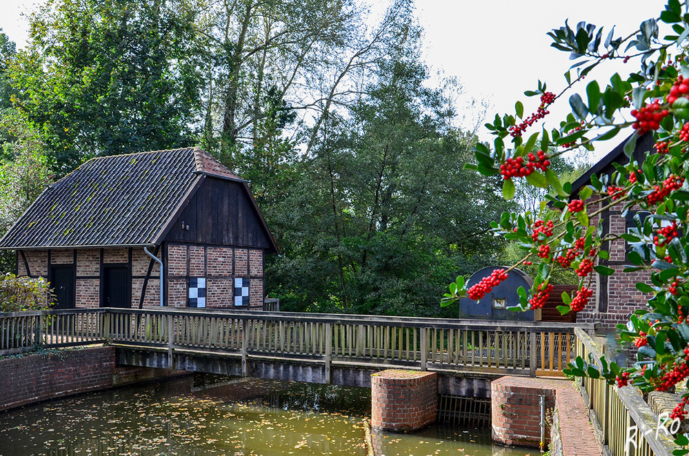 Bachlauf 
an der Mühle. Das Wasserrad wird von einem aufgestauten Arm des Halterner Mühlenbachs gespeist u. treibt inzwischen ein kleines Wasserkraftwerk an. Bei 1600 Litern Wasser pro Stunde liefert es 23 kW, die in das öffentliche Stromnetz eingespeist werden. (wikipedia)
