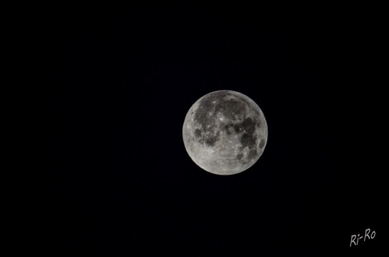 Schlaflose Nacht
im Dezember sind die Vollmondnächte besonders kalt und hell.
Schlüsselwörter: Mond; Vollmond