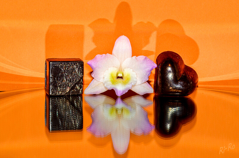  Pralinen mit Orchideenblüte
Spiegelung und Schattenwurf
Schlüsselwörter: Praline; Orchidee