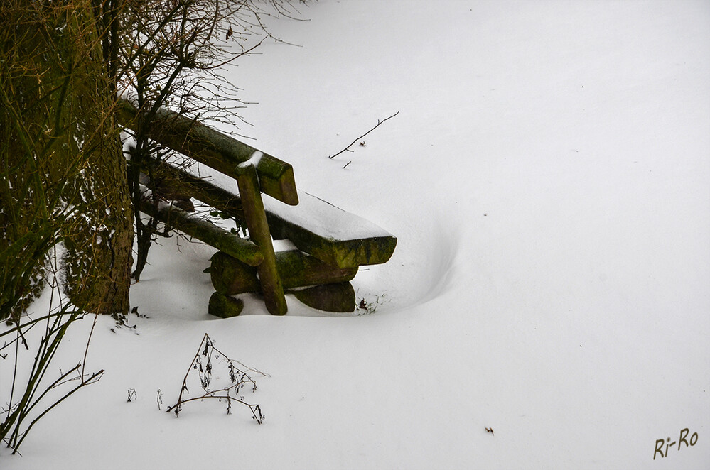 Winter
Schlüsselwörter: Schnee; Bank