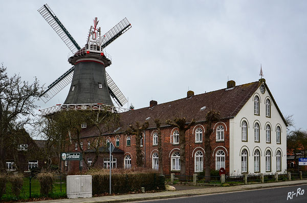 Westgaster Mühle 
in Norden, 1863 erbauter dreistöckiger Galerie-Holländer mit Windrose u. einer Turmhöhe einschließlich Kappe von ca. 27m.
Schlüsselwörter: Nordsee,