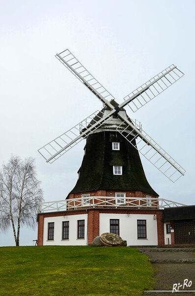 Galerieholländer-Windmühle
erbaut 1904 in Klütz. Um bei Windstille den Mahlbetrieb weiter zu betreiben, war bis 1940 ein Dampfkessel zusätzliche Antriebskraft. Nach seiner Auflösung erfolgte der Zusatzbetrieb durch einen Elektromotor. (lt. muehlenverein.mv)
Schlüsselwörter: Ostsee