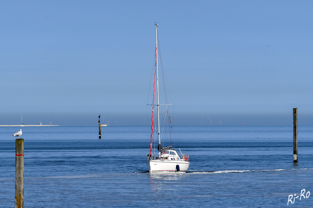 Auf der Nordsee
