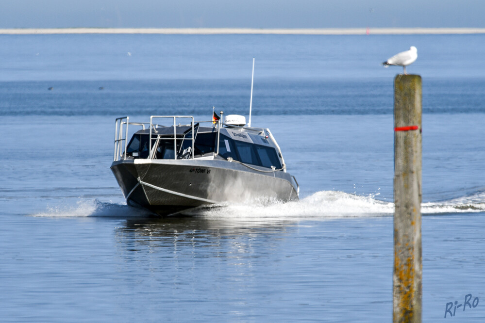 Zurück
zum Hafen Norddeich
