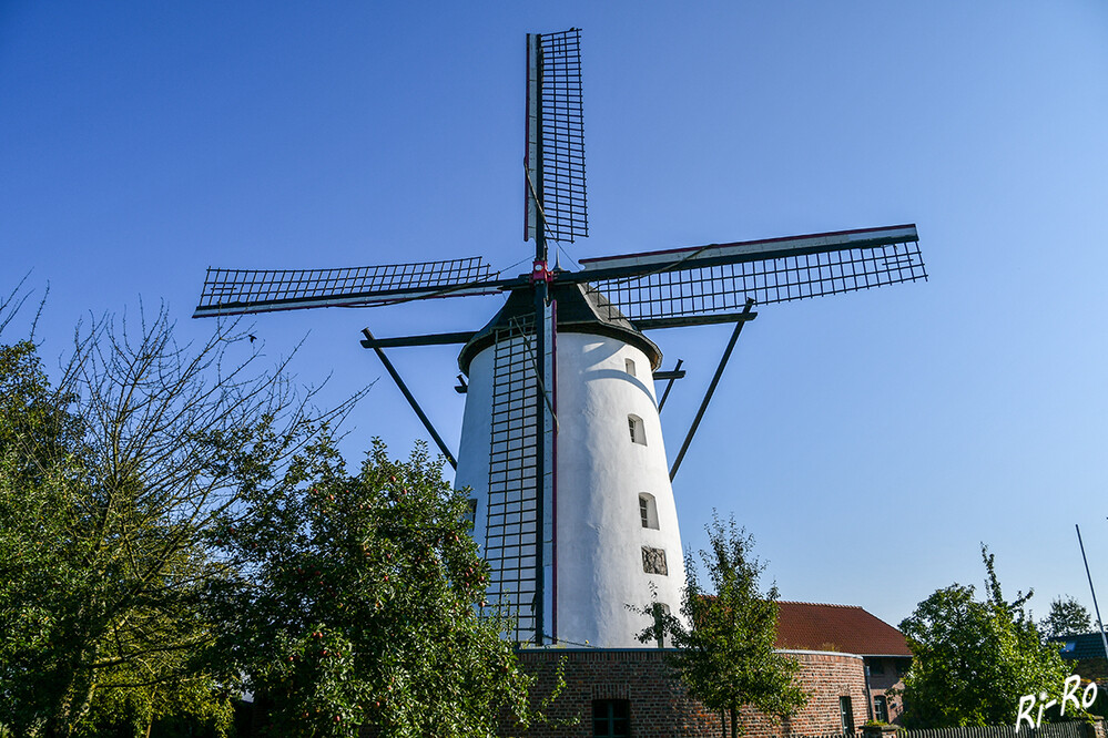 9 - Braunsmühle
1756 wurde die Mühle aus Stein nach holländischer Bauart errichtet.(lt. Fördergemeinschaft)

 
