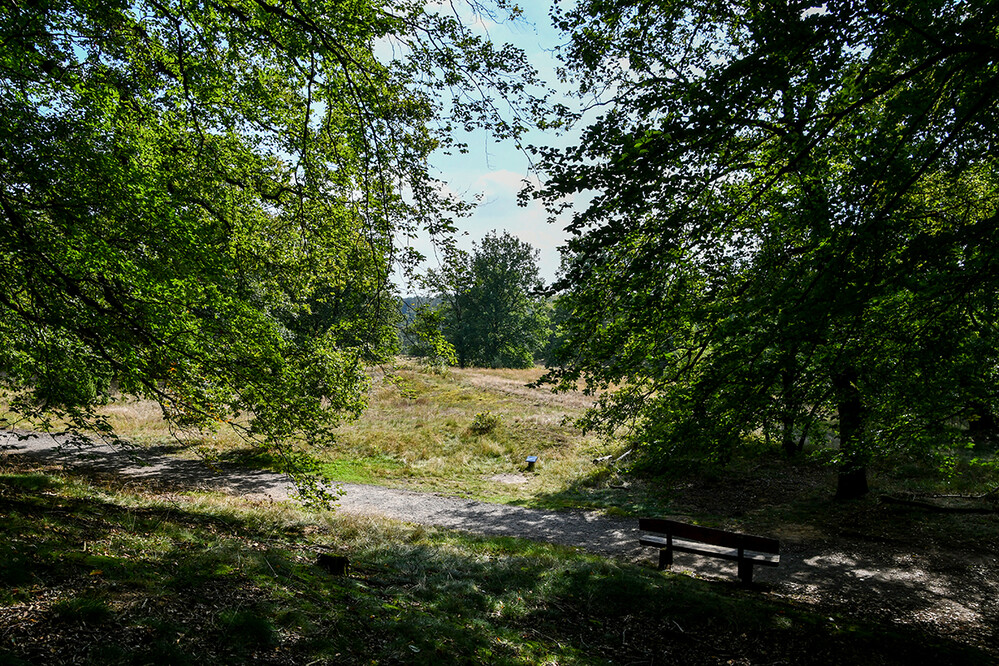 Schatten „In der Natur“
Roland
Schlüsselwörter: 2021